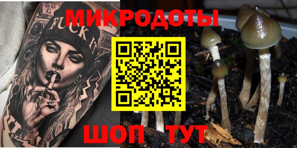 Галлюциногенные грибы прущие грибы Кудрово