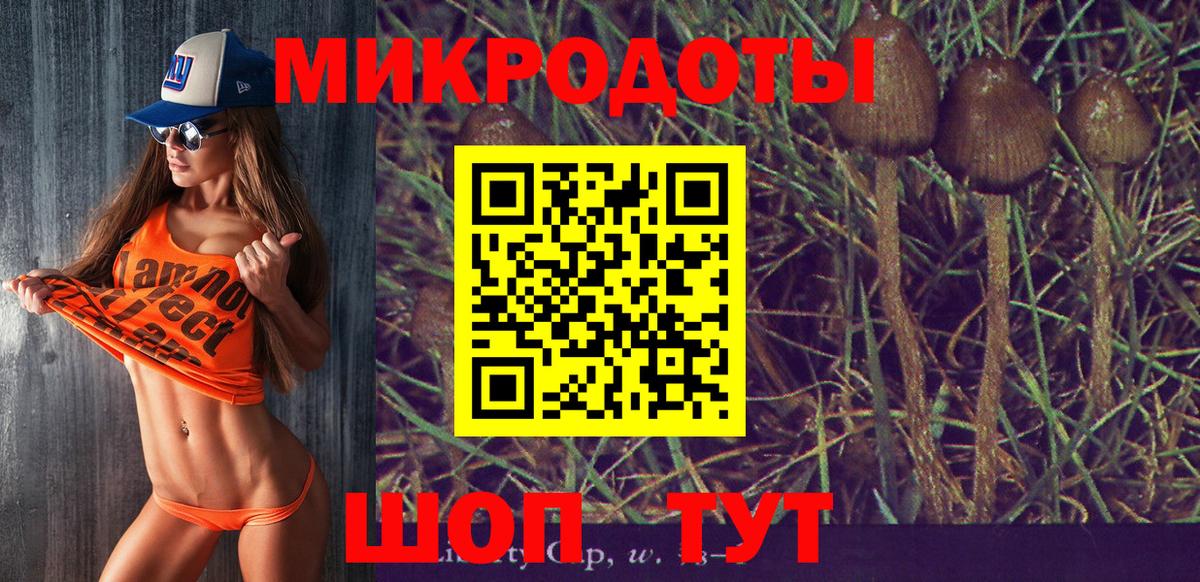 Кудрово  купить   Вход с VPN  Галлюциногенные грибы мицелий 
